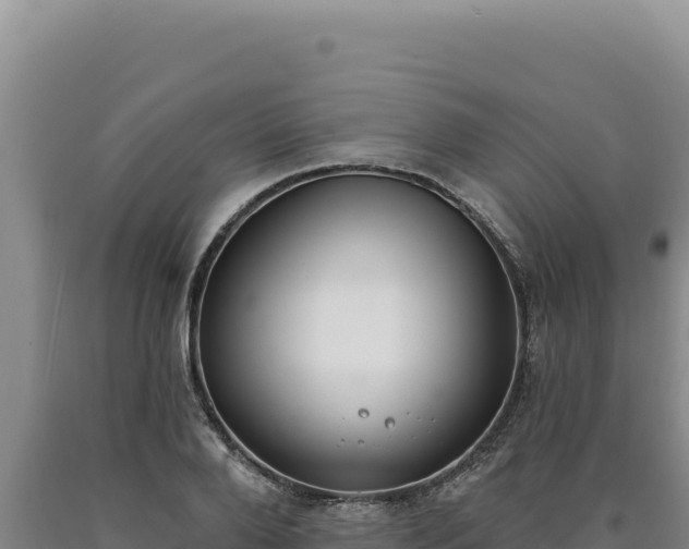 X0000090750888200707271443
