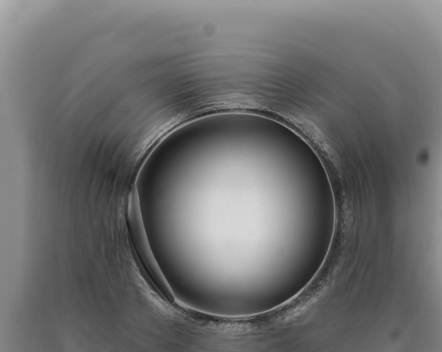 X0000090750889200707271443