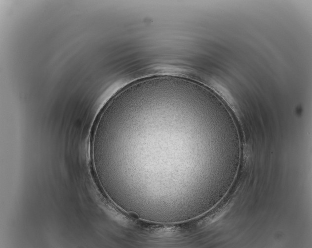 X0000090750891200707271443