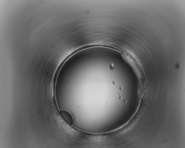 X0000090750892200707271443