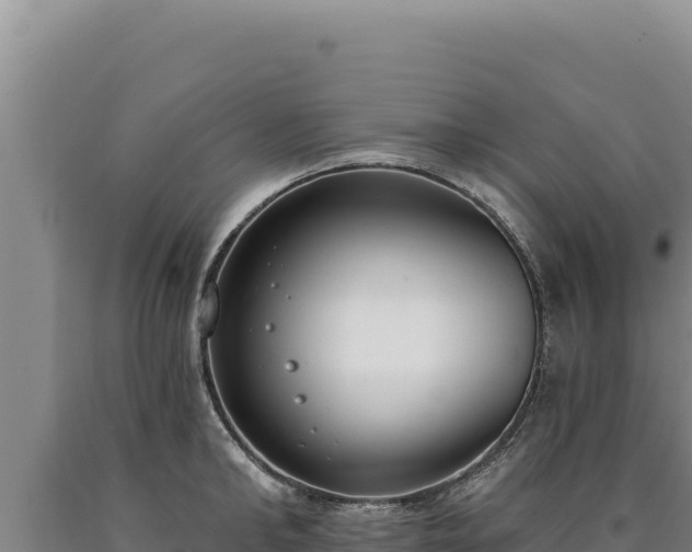 X0000090750902200707271443