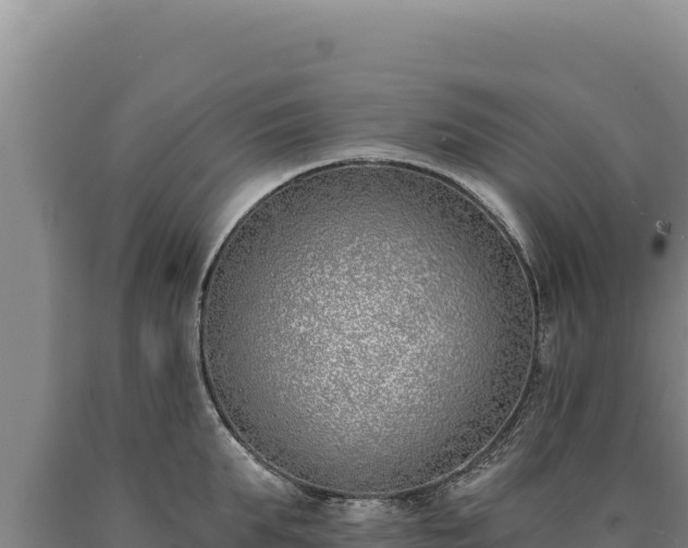 X0000090750903200707271443