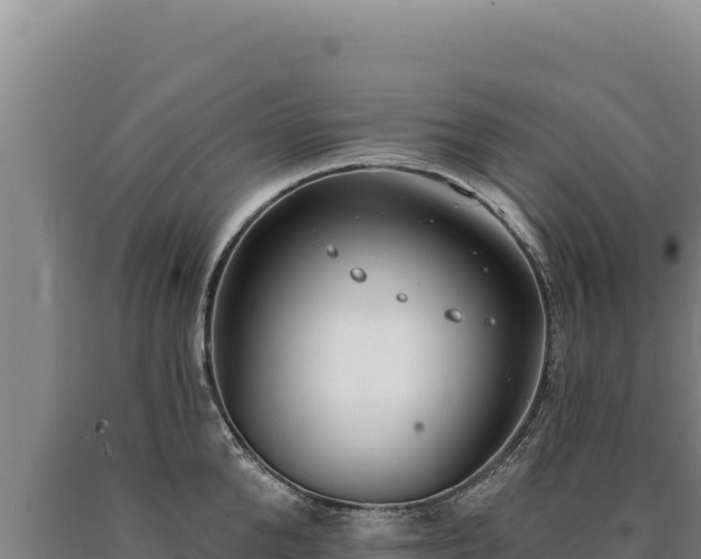 X0000090750904200707271443