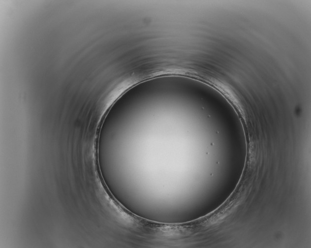 X0000090750906200707271443