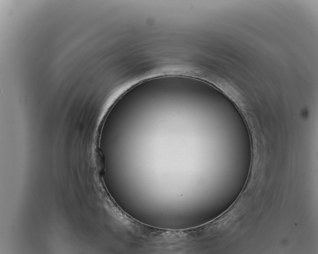 X0000090750912200707271442