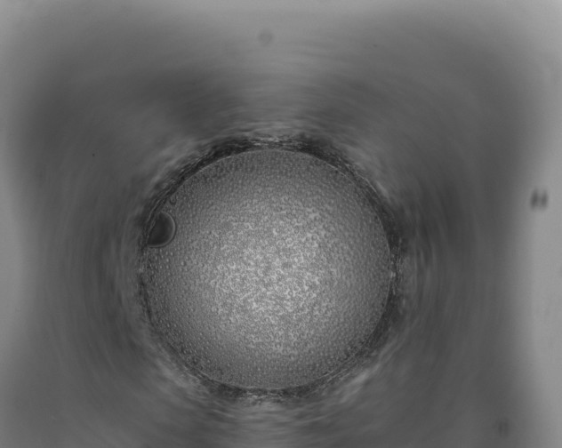 X0000090750913200707271442