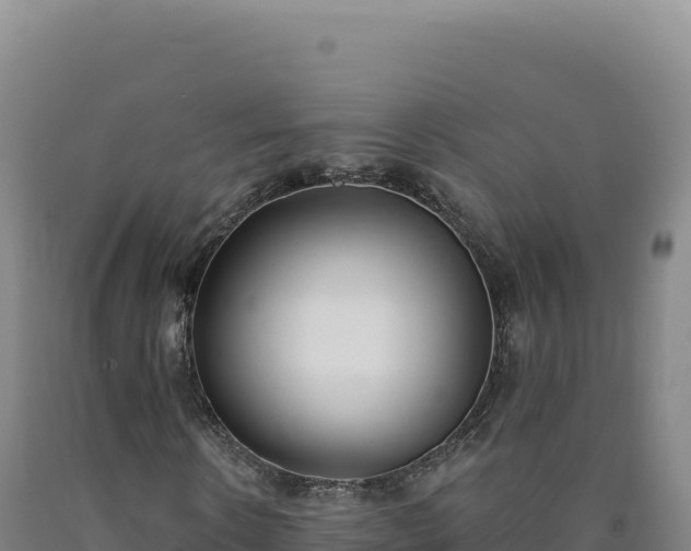 X0000090750914200707271442