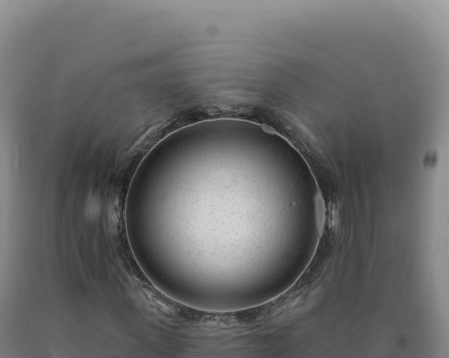 X0000090750915200707271442