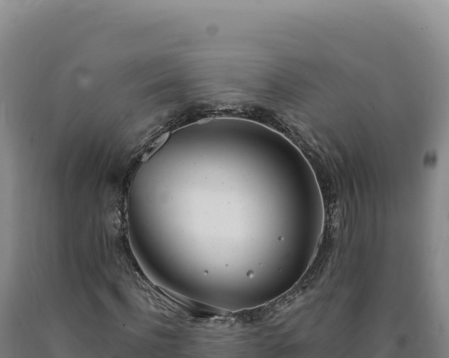 X0000090750916200707271442