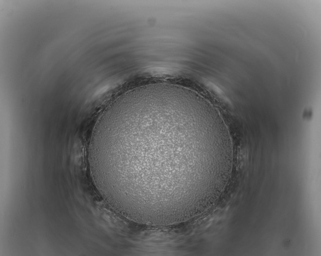 X0000090750917200707271442