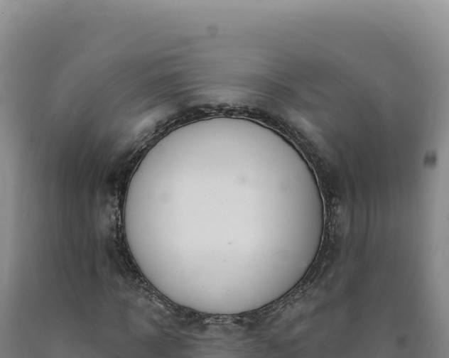 X0000090750918200707271442