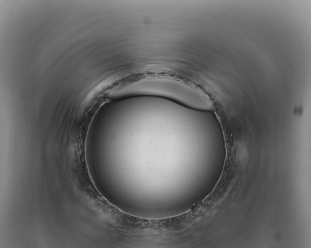 X0000090750920200707271442