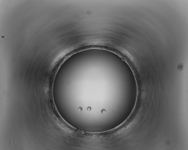X0000090750922200707271442
