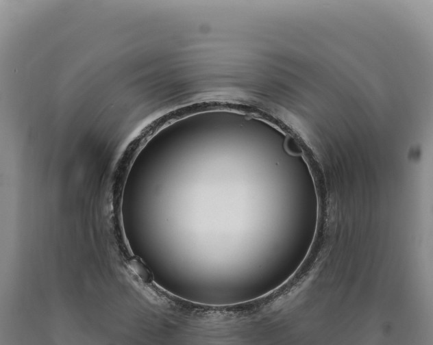 X0000090750923200707271442