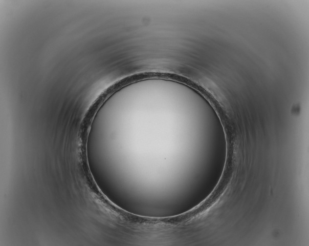 X0000090750926200707271442