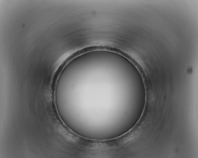 X0000090750927200707271442