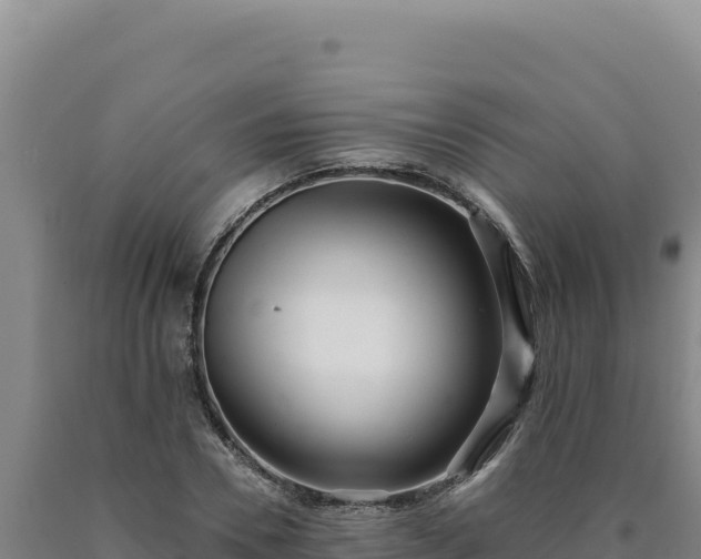 X0000090750930200707271442