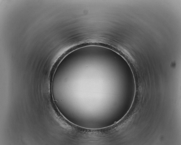 X0000090750934200707271442