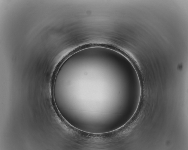 X0000090750935200707271442