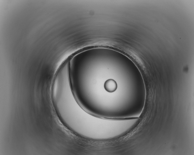 X0000090750936200707271442