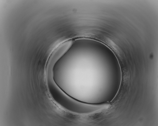 X0000090750940200707271442