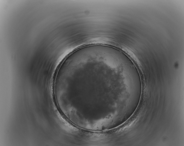 X0000090750941200707271442