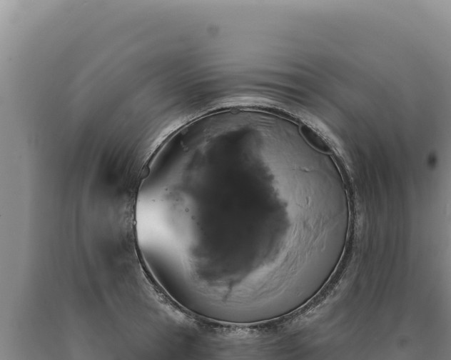 X0000090750945200707271442