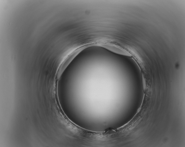 X0000090750948200707271442