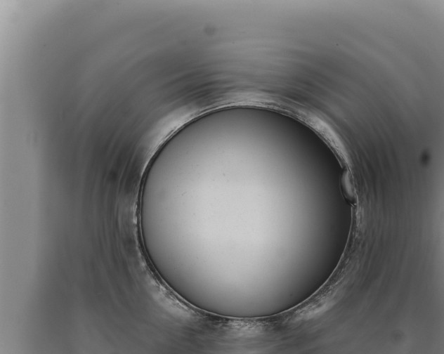 X0000090750954200707271442