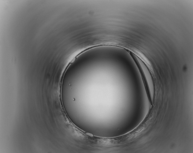 X0000090750956200707271442