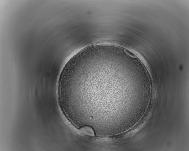 X0000090750957200707271442