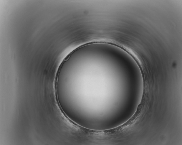 X0000090750959200707271442