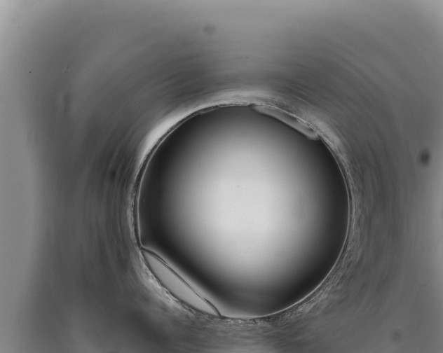 X0000090750960200707271442