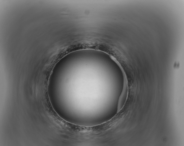 X0000090750961200707271442