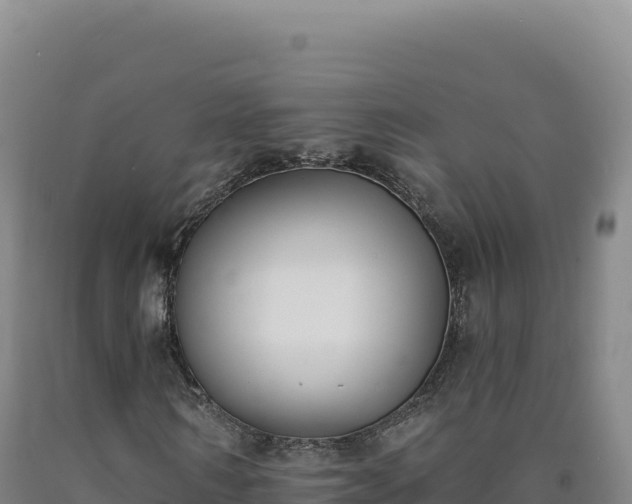 X0000090750962200707271442