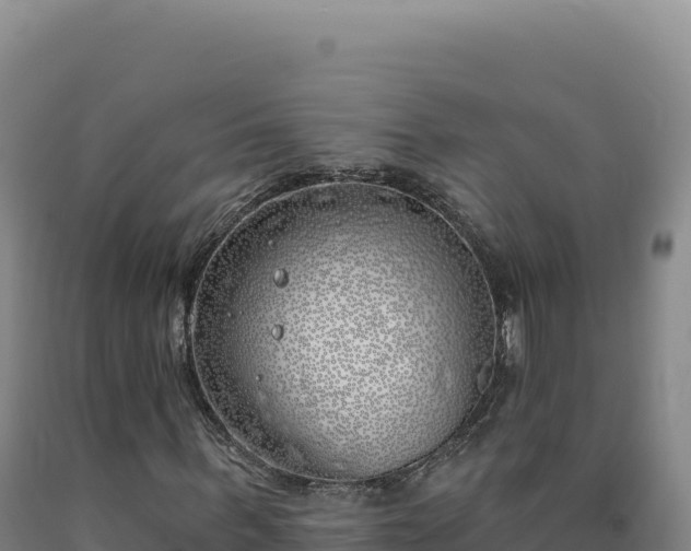 X0000090750963200707271442