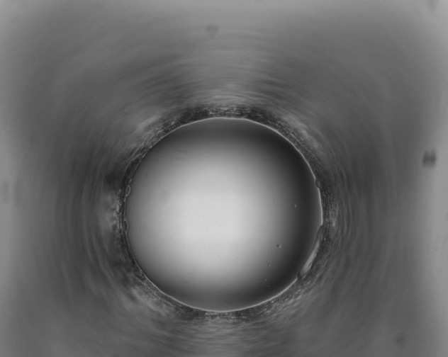 X0000090750964200707271442
