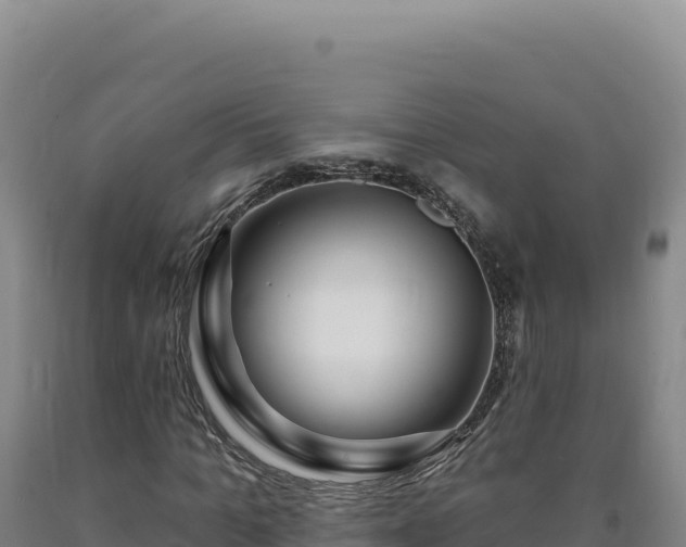 X0000090750965200707271442
