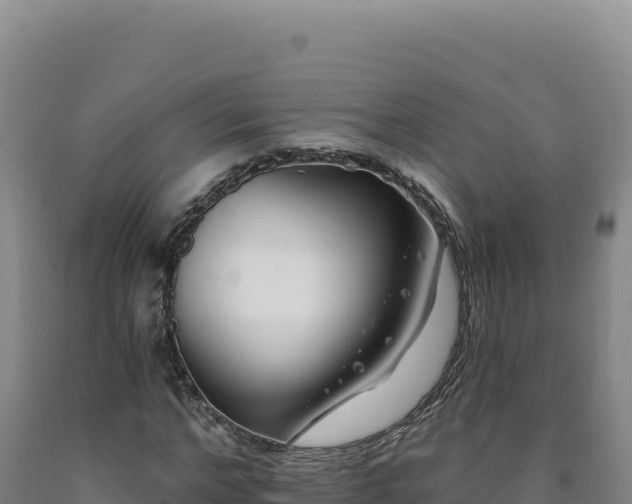 X0000090750968200707271442