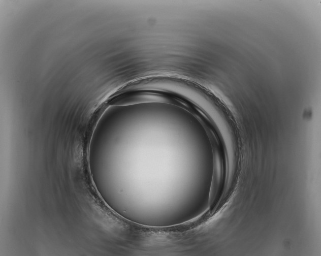 X0000090750969200707271442