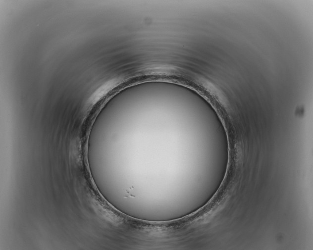 X0000090750970200707271442