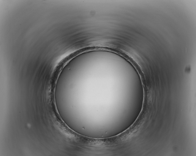 X0000090750971200707271442