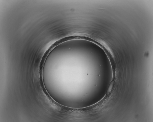 X0000090750972200707271442