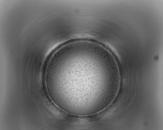 X0000090750975200707271442