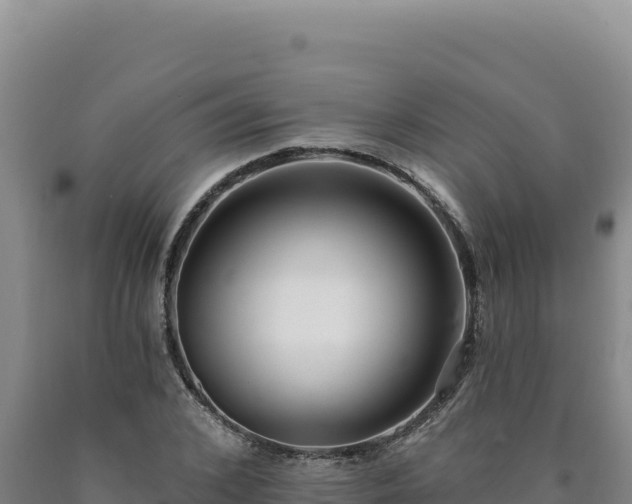 X0000090750976200707271442