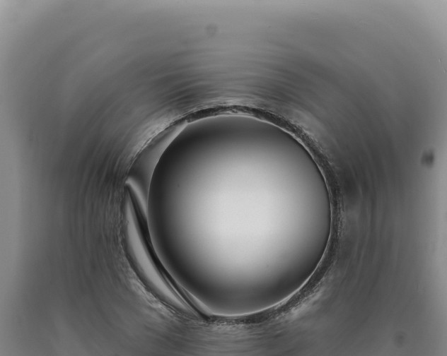 X0000090750977200707271442