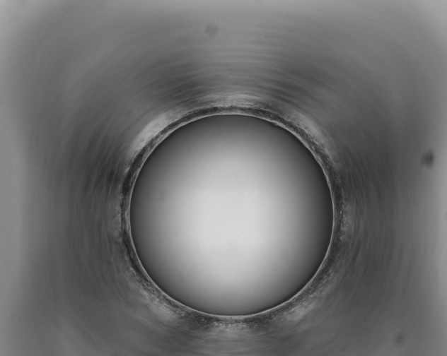 X0000090750978200707271442