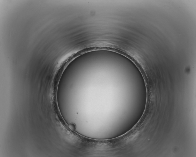 X0000090750979200707271442