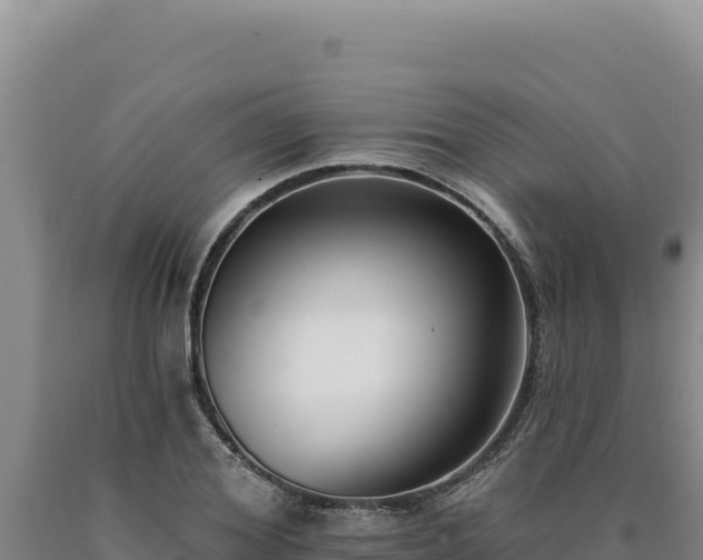 X0000090750980200707271442