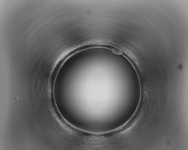 X0000090750981200707271442